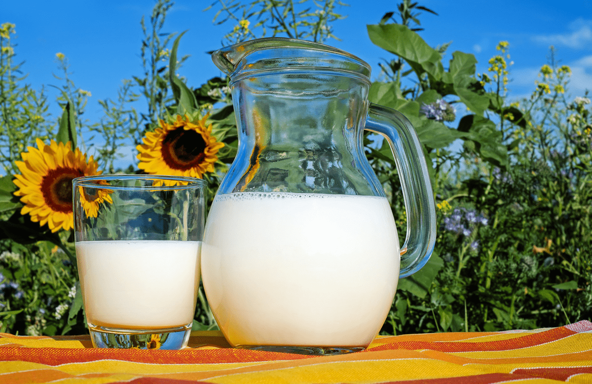¿Cuál es la mejor leche semidesnatada del mercado?