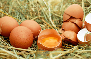 ¿Es bueno consumir un huevo al día?